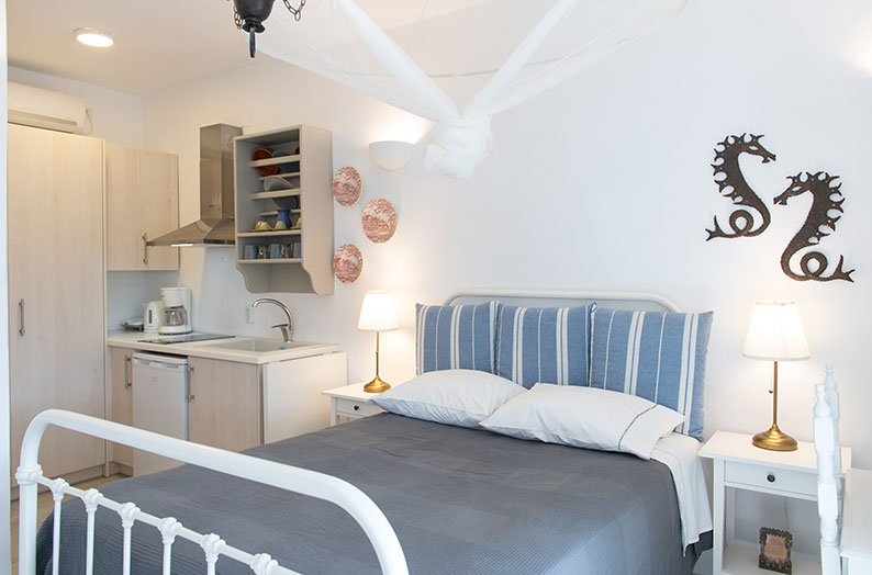 Πέτρινο 1 - Δωμάτιο με πολυκουζινάκι